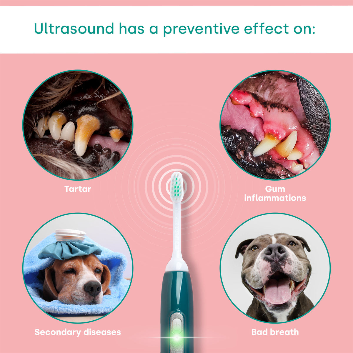 Conjunto básico emmi-pet 2.0 (enchufe: enchufe británico)