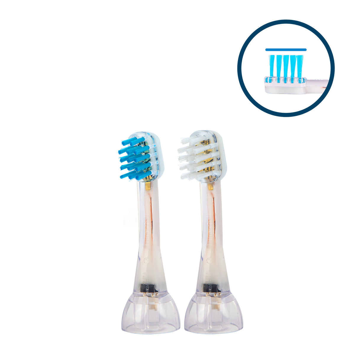 Saggi slim piccoli