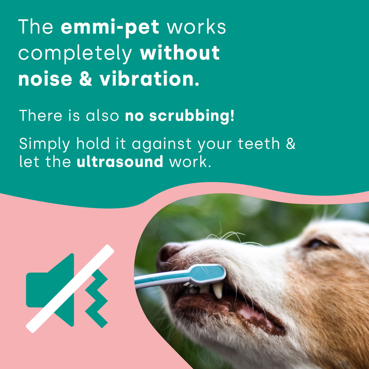 Conjunto básico emmi-pet 2.0 (enchufe: enchufe británico) 